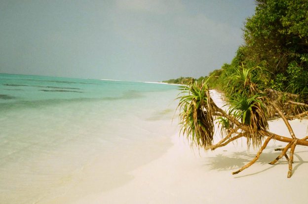 Fulhadhoo Island Ocean View