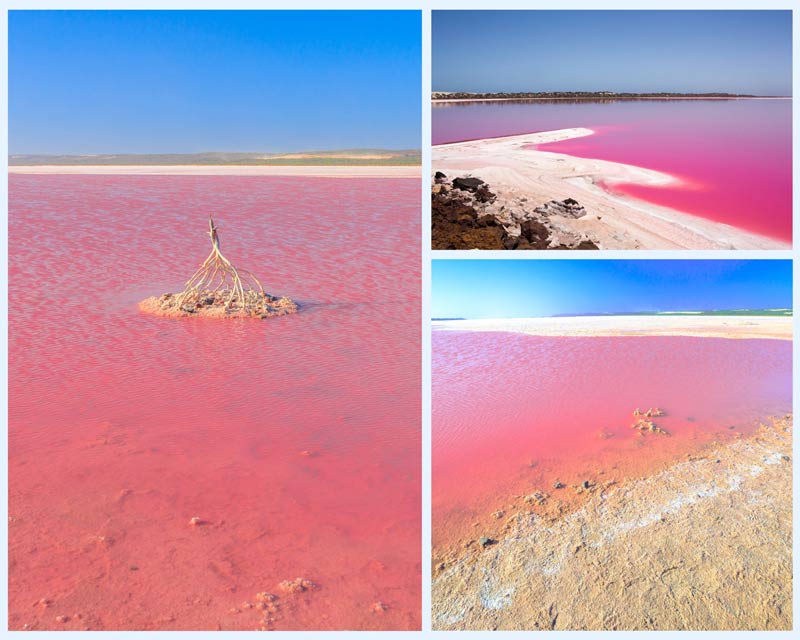 Lake Hillier, Australia or Pink Lake