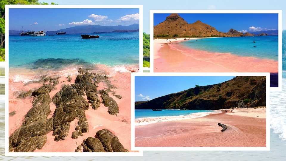 One of the best beaches in the world is Pink Beach on Komodo Island, Indonesia