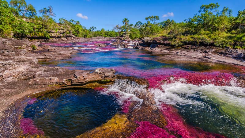 Rainbow River, Caño Cristales, or the 5 Color River, Colombia is one of the most unusual places in the world