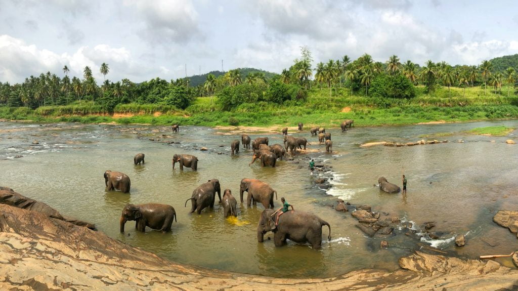 Elephant Bathing Position, Rambukkana, Sri Lanka. A cheapest place to visit