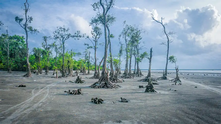 How to visit Kuakata Sea Beach, Patuakhali