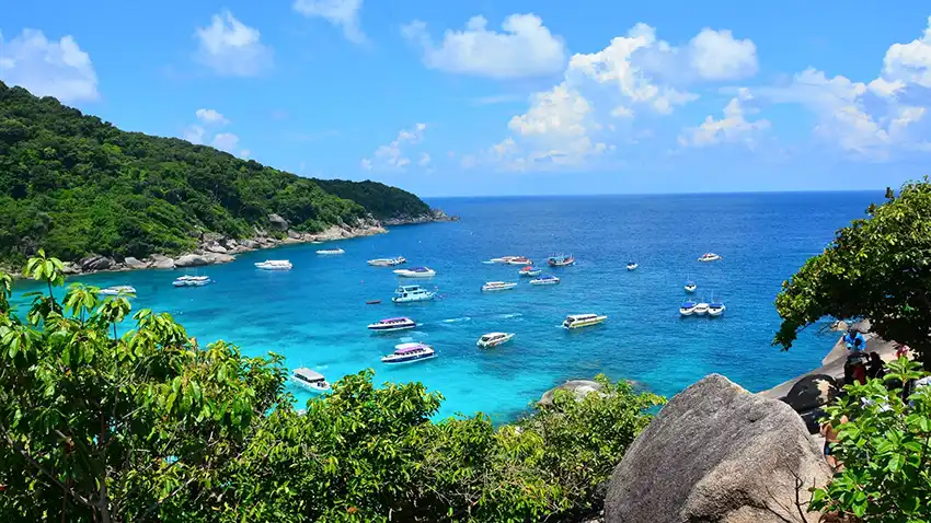 Similan Islands is best option for snorkeling in Thailand