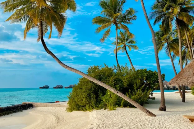 Interesting facts about the Maldives