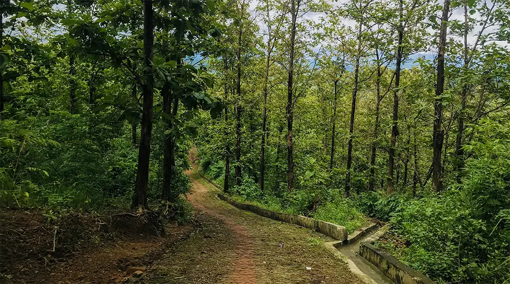 Hiking Trail on Marayong Tong Hill, Alikadam, Bandarban. Camping in the rain. Camping on a mountain